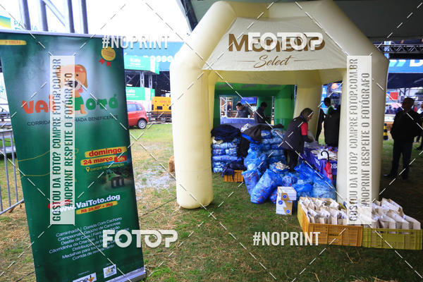 Compre as suas fotos do eventoExpocani Vai Tot Canicross no Fotop