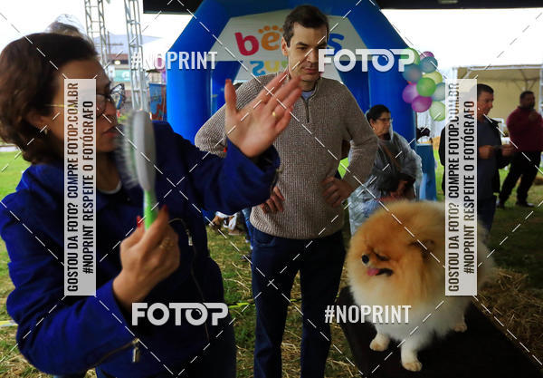 Compre as suas fotos do eventoExpocani Vai Tot Canicross no Fotop