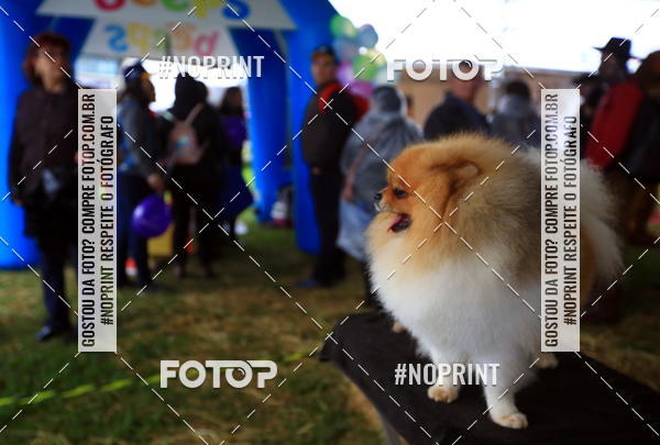 Compre as suas fotos do eventoExpocani Vai Tot Canicross no Fotop