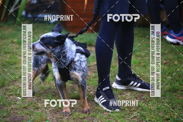 Compre as suas fotos do eventoExpocani Vai Tot Canicross no Fotop