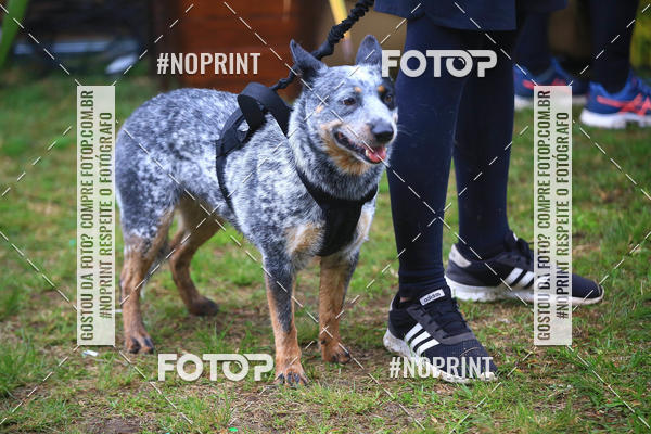 Compre as suas fotos do eventoExpocani Vai Tot Canicross no Fotop