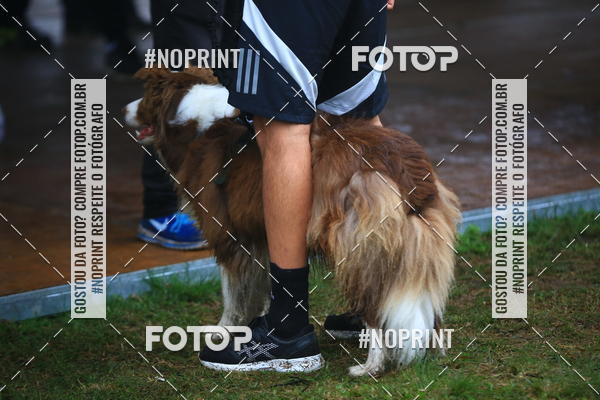 Compre as suas fotos do eventoExpocani Vai Tot Canicross no Fotop