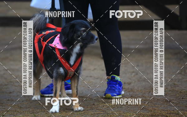 Compre as suas fotos do eventoExpocani Vai Tot Canicross no Fotop