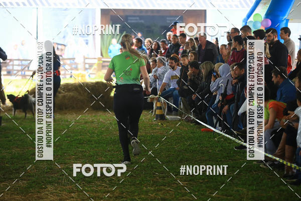 Compre as suas fotos do eventoExpocani Vai Tot Canicross no Fotop