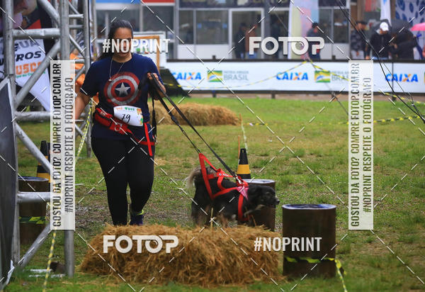 Compre as suas fotos do eventoExpocani Vai Tot Canicross no Fotop