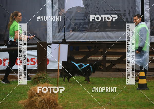 Compre as suas fotos do eventoExpocani Vai Tot Canicross no Fotop