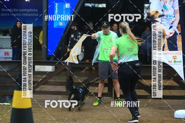 Compre as suas fotos do eventoExpocani Vai Tot Canicross no Fotop