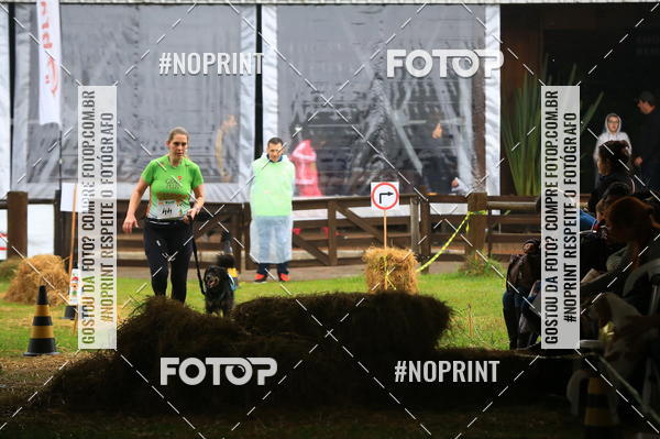 Compre as suas fotos do eventoExpocani Vai Tot Canicross no Fotop