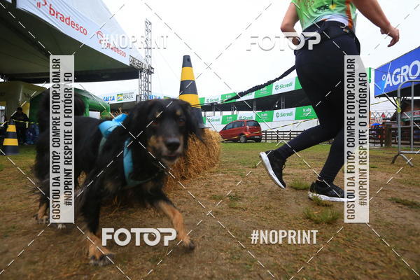 Buy your photos of the eventExpocani Vai Tot Canicross on Fotop