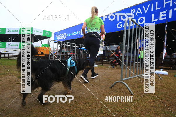 Compre suas fotos do eventoExpocani Vai Tot Canicross no Fotop