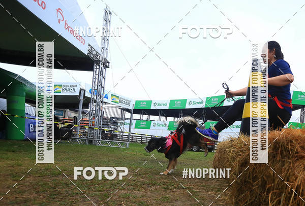 Compre as suas fotos do eventoExpocani Vai Tot Canicross no Fotop