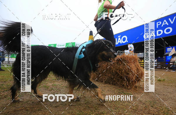 Compre suas fotos do eventoExpocani Vai Tot Canicross no Fotop