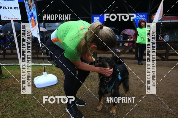 Compre suas fotos do eventoExpocani Vai Tot Canicross no Fotop