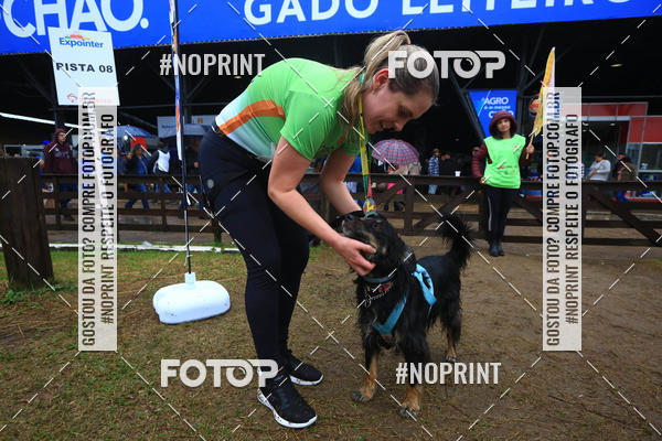 Compre suas fotos do eventoExpocani Vai Tot Canicross no Fotop