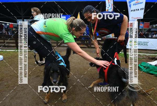 Compre suas fotos do eventoExpocani Vai Tot Canicross no Fotop