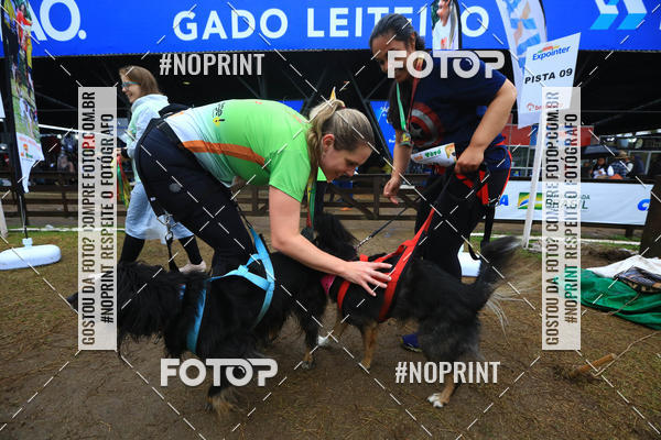 Compre suas fotos do eventoExpocani Vai Tot Canicross no Fotop