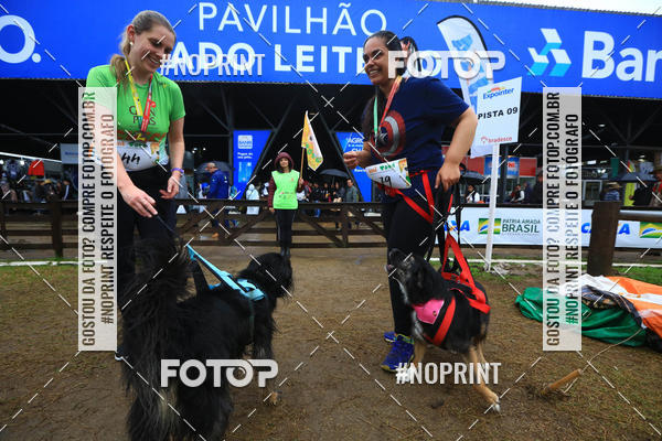 Compre suas fotos do eventoExpocani Vai Tot Canicross no Fotop