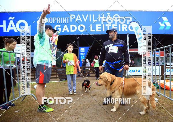Compre suas fotos do eventoExpocani Vai Tot Canicross no Fotop