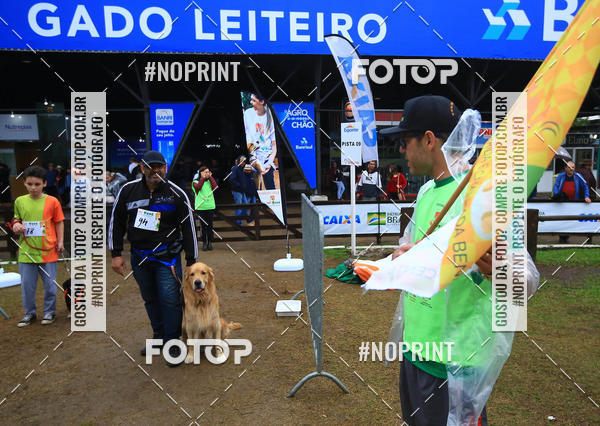 Compre suas fotos do eventoExpocani Vai Tot Canicross no Fotop