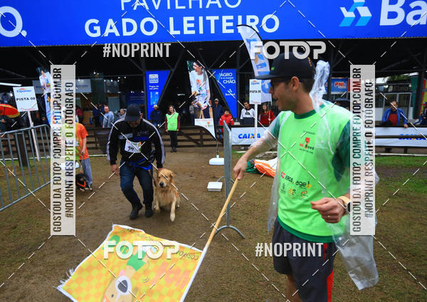 Compre suas fotos do eventoExpocani Vai Tot Canicross no Fotop