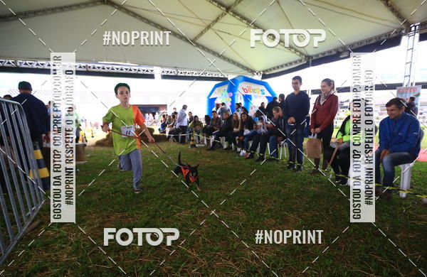Compre suas fotos do eventoExpocani Vai Tot Canicross no Fotop