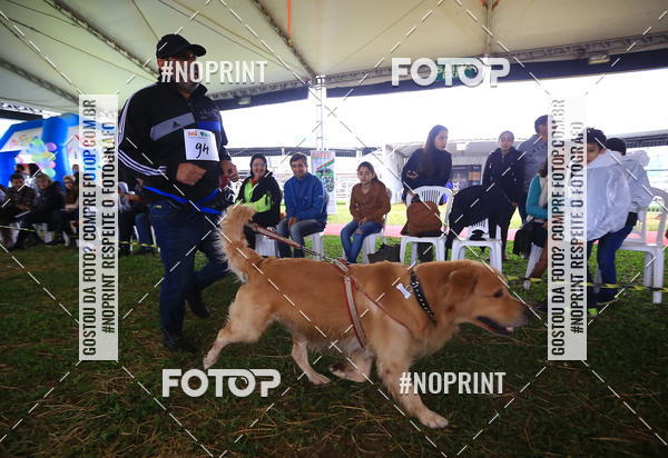 Compre suas fotos do eventoExpocani Vai Tot Canicross no Fotop