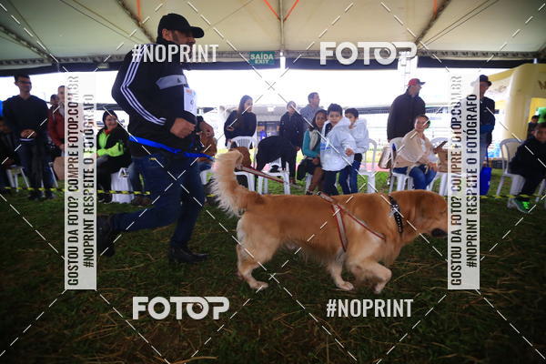 Compre suas fotos do eventoExpocani Vai Tot Canicross no Fotop