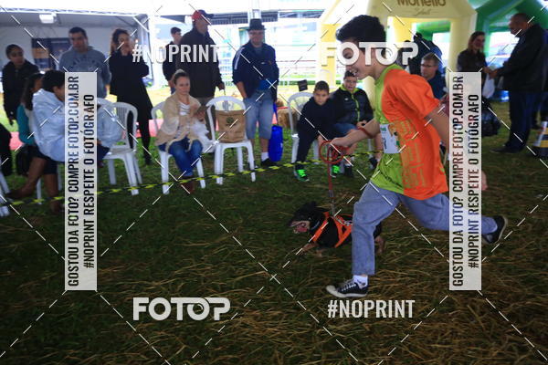 Compre as suas fotos do eventoExpocani Vai Tot Canicross no Fotop