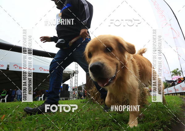 Compre as suas fotos do eventoExpocani Vai Tot Canicross no Fotop