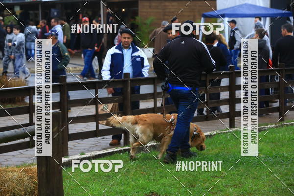 Compre as suas fotos do eventoExpocani Vai Tot Canicross no Fotop