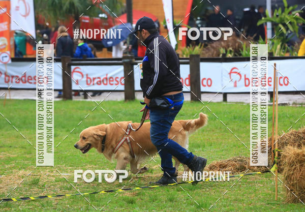 Compre as suas fotos do eventoExpocani Vai Tot Canicross no Fotop