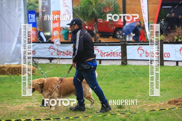 Compre as suas fotos do eventoExpocani Vai Tot Canicross no Fotop