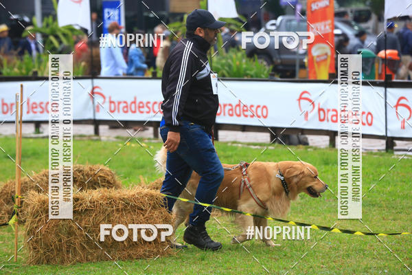 Compre as suas fotos do eventoExpocani Vai Tot Canicross no Fotop