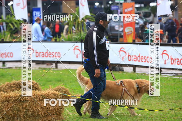 Compre as suas fotos do eventoExpocani Vai Tot Canicross no Fotop