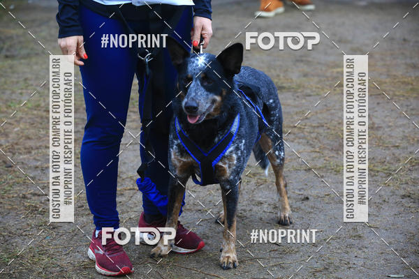 Compre as suas fotos do eventoExpocani Vai Tot Canicross no Fotop