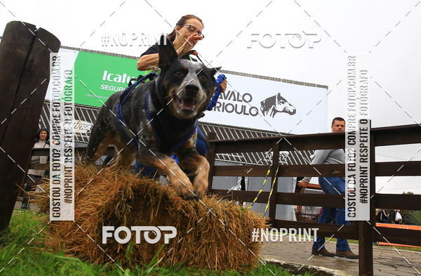 Buy your photos of the eventExpocani Vai Tot Canicross on Fotop
