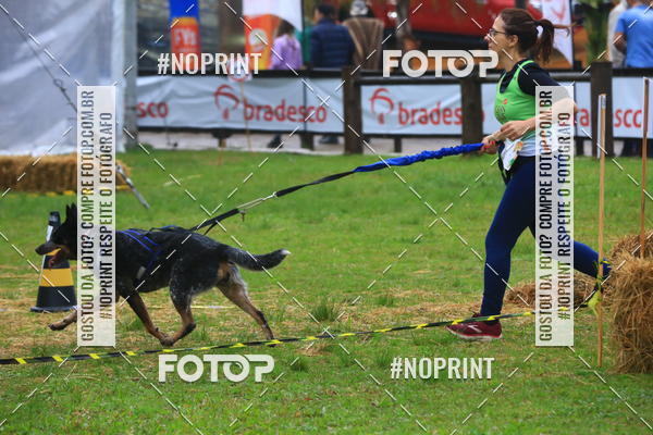 Buy your photos of the eventExpocani Vai Tot Canicross on Fotop