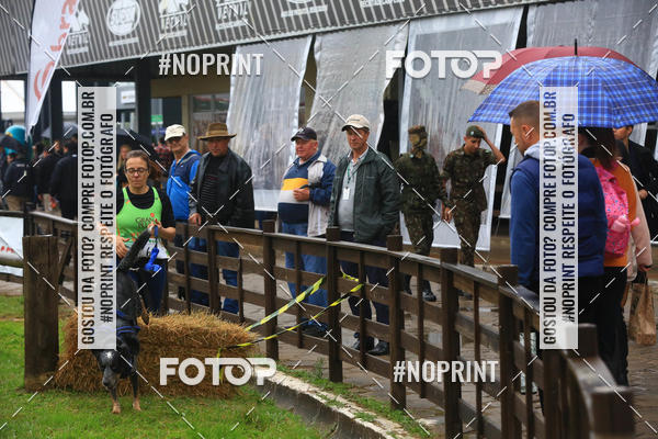 Buy your photos of the eventExpocani Vai Tot Canicross on Fotop