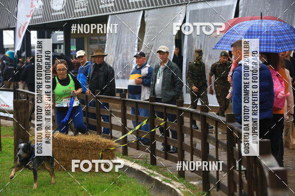 Buy your photos of the eventExpocani Vai Tot Canicross on Fotop