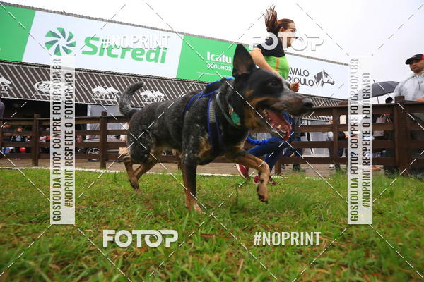 Buy your photos of the eventExpocani Vai Tot Canicross on Fotop