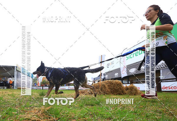 Buy your photos of the eventExpocani Vai Tot Canicross on Fotop