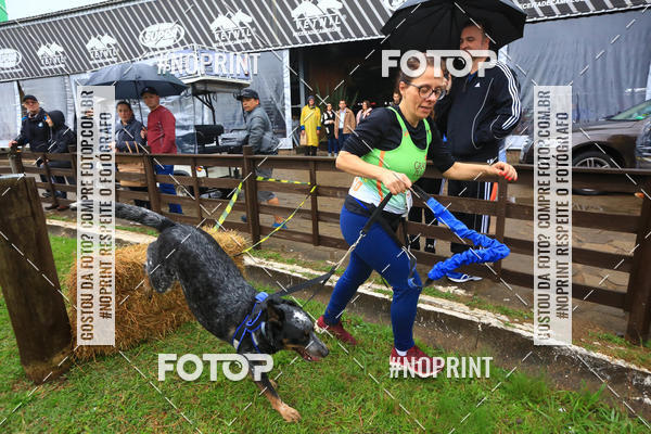 Buy your photos of the eventExpocani Vai Tot Canicross on Fotop