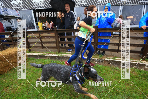 Buy your photos of the eventExpocani Vai Tot Canicross on Fotop