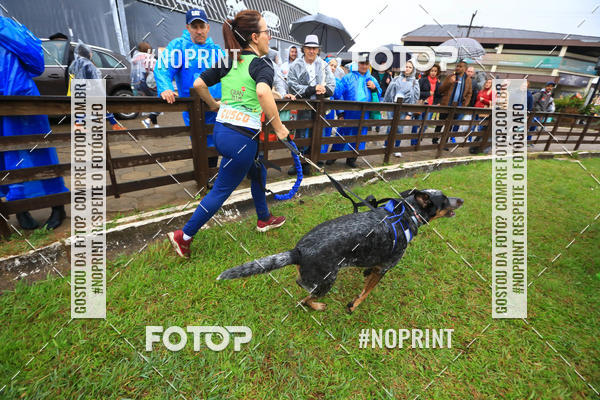 Buy your photos of the eventExpocani Vai Tot Canicross on Fotop