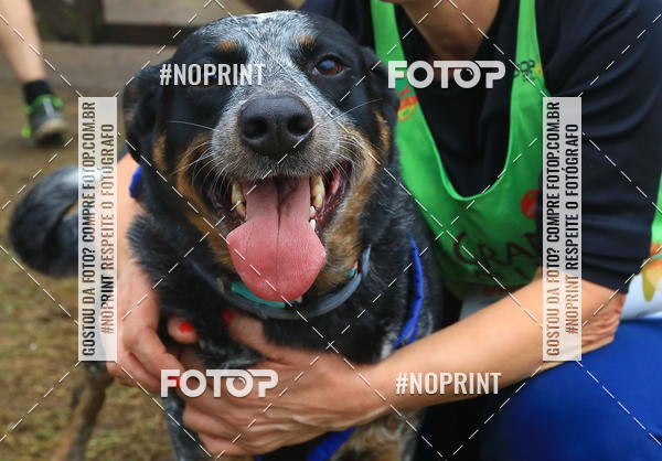 Buy your photos of the eventExpocani Vai Tot Canicross on Fotop