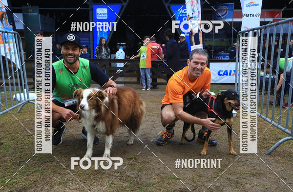 Buy your photos of the eventExpocani Vai Tot Canicross on Fotop