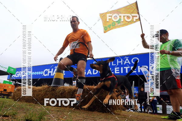 Buy your photos of the eventExpocani Vai Tot Canicross on Fotop