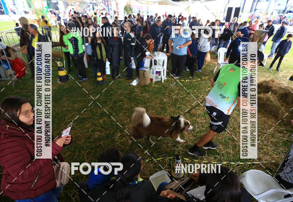 Buy your photos of the eventExpocani Vai Tot Canicross on Fotop