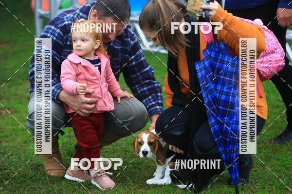 Buy your photos of the eventExpocani Vai Tot Canicross on Fotop