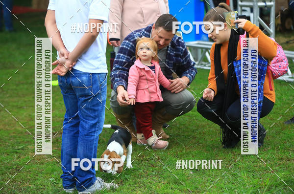 Buy your photos of the eventExpocani Vai Tot Canicross on Fotop